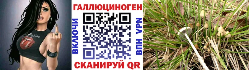даркнет наркотические препараты  Красный Сулин  Галлюциногенные грибы MAGIC MUSHROOMS 